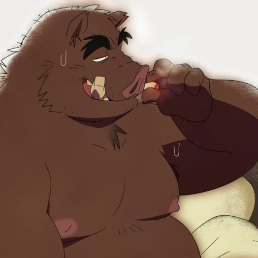 Knox Bjorn thumbnail