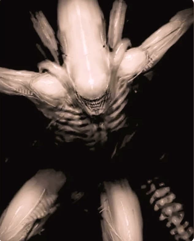 Neomorfo - Alien thumbnail