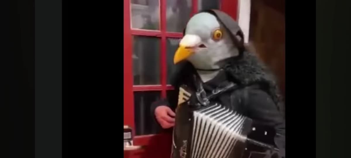 Your friend with the head of a pigeon thumbnail