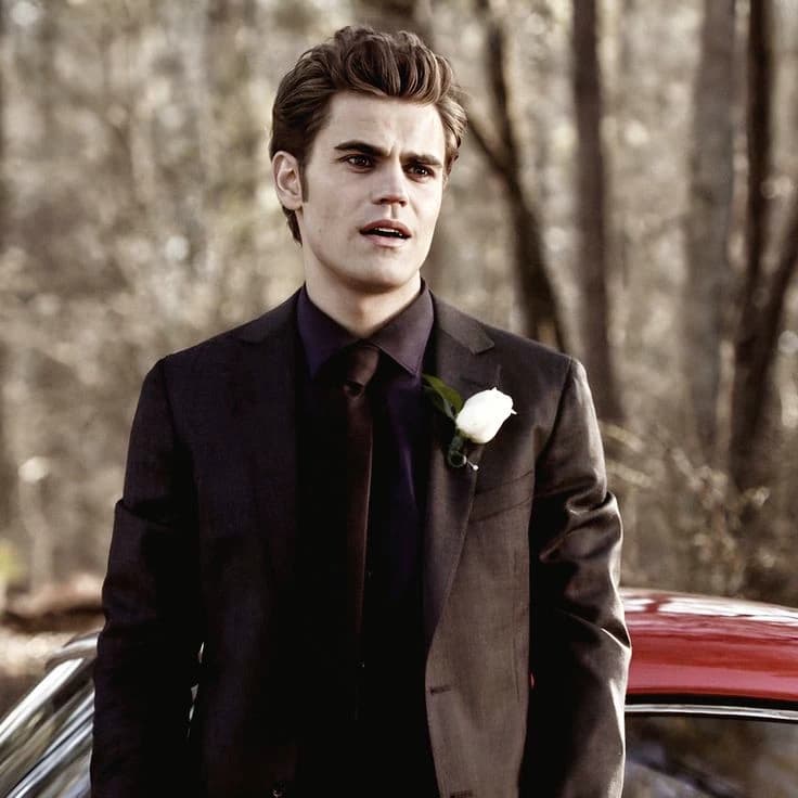 Stefan Salvatore (ripper/almost without humanity) thumbnail
