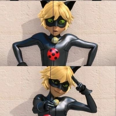 Cat noir  thumbnail