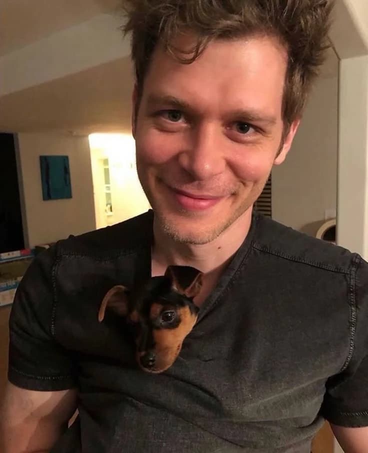 Klaus thumbnail