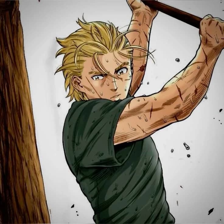 Thorfinn Karlsefni thumbnail