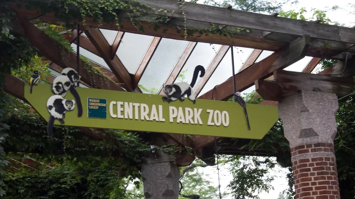 ZOOCHI – The living zoo thumbnail