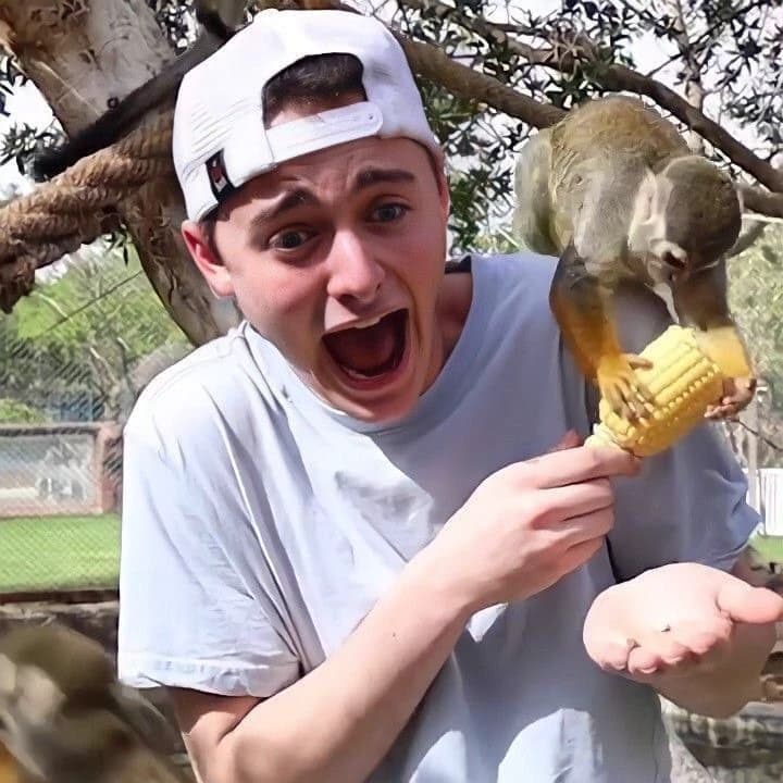 Noah Schnapp thumbnail