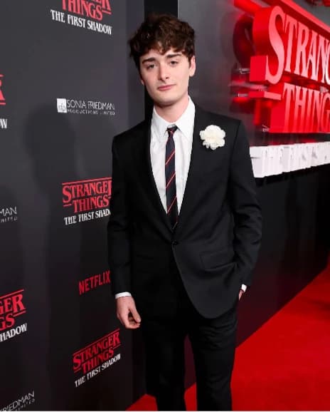 Noah Schnapp thumbnail