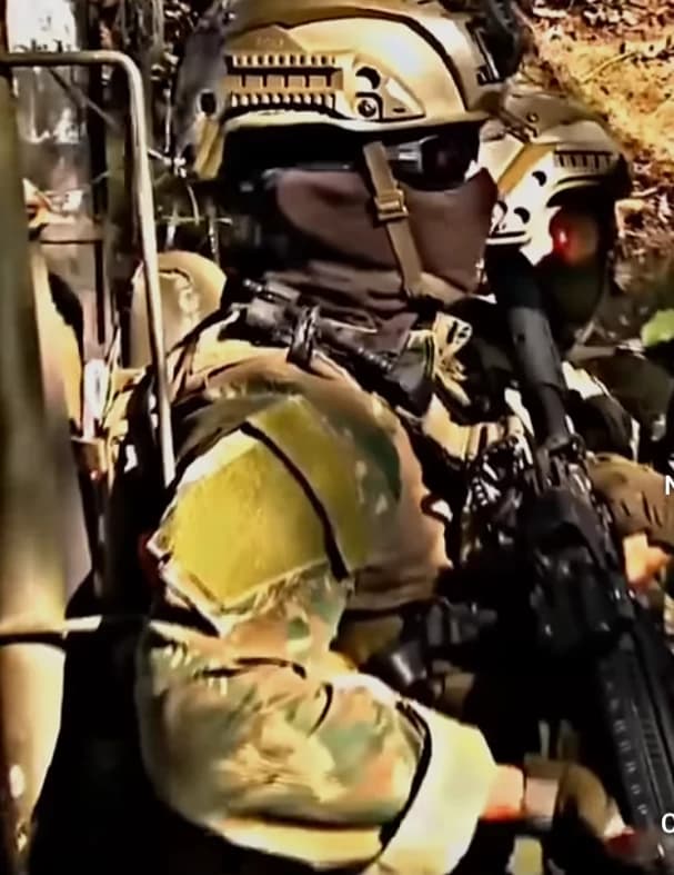 Brazilian Army thumbnail