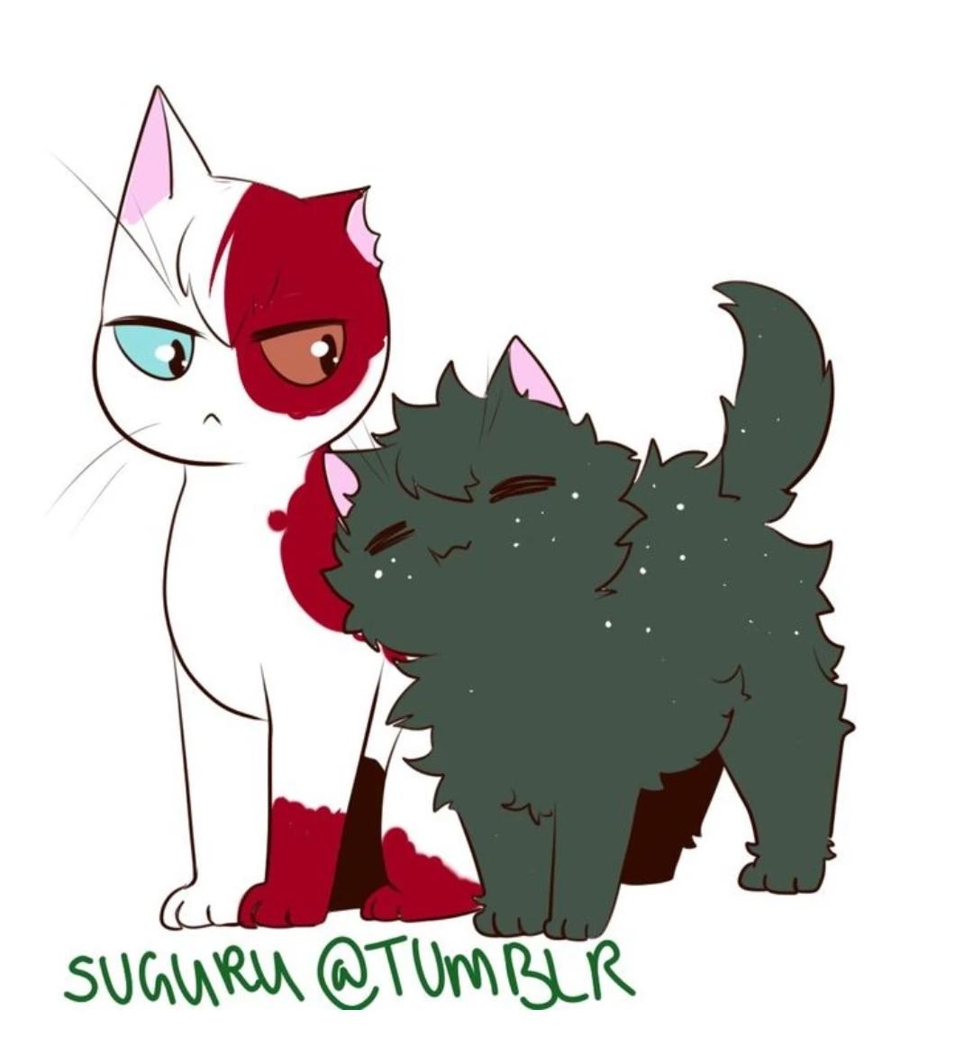 Deku and todoroki stray cats thumbnail