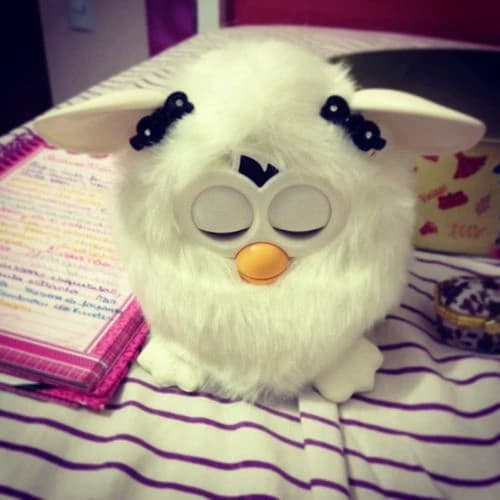 Shy Furby thumbnail