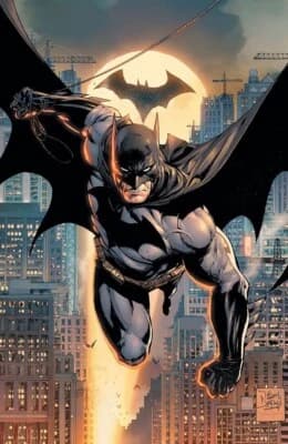 Batman: The Dark Knight thumbnail
