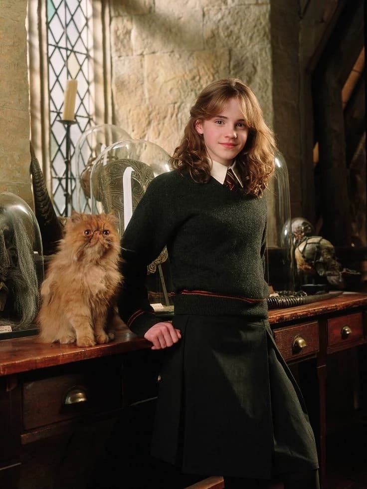 Hermione Granger thumbnail