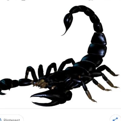 The Obsidian Alpha thumbnail