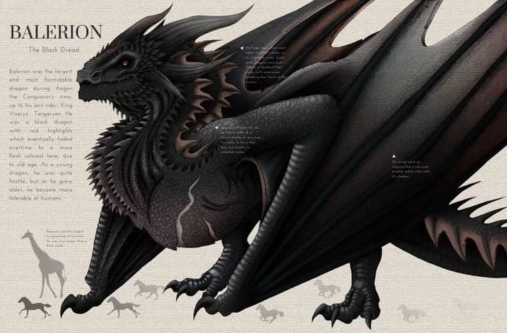 How to Train Your Dragon and William thumbnail