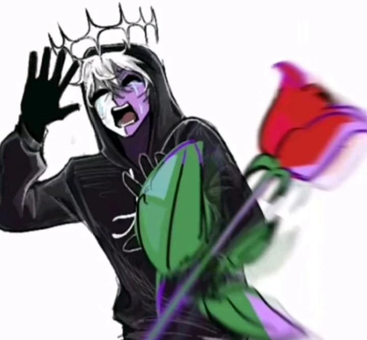 Noli thumbnail