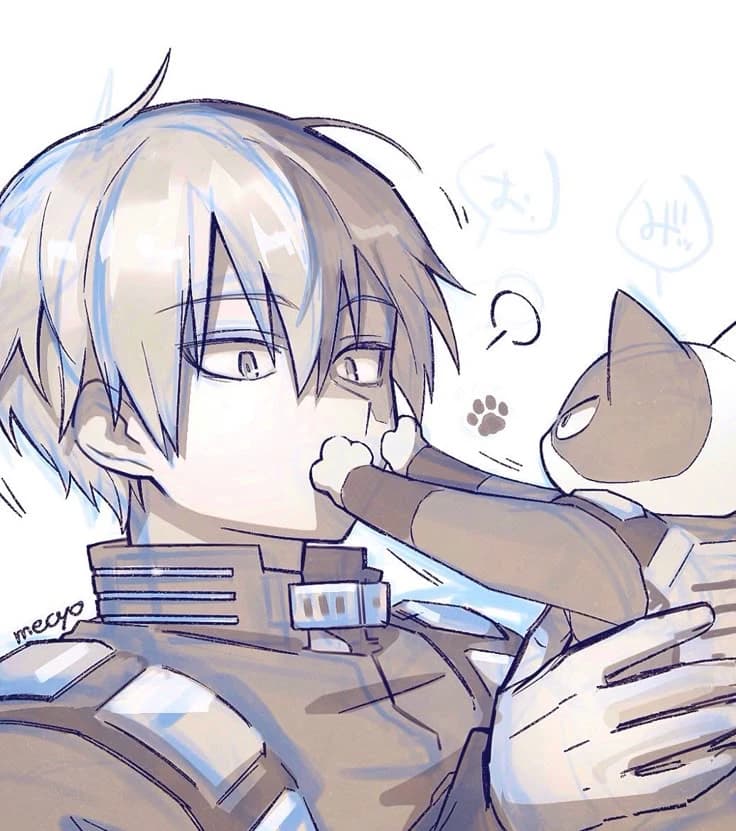 shoto thumbnail