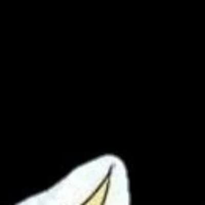 Aki thumbnail