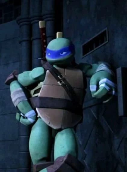 Leonardo 2012🐢💙 thumbnail