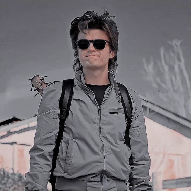 Steve Harrington thumbnail