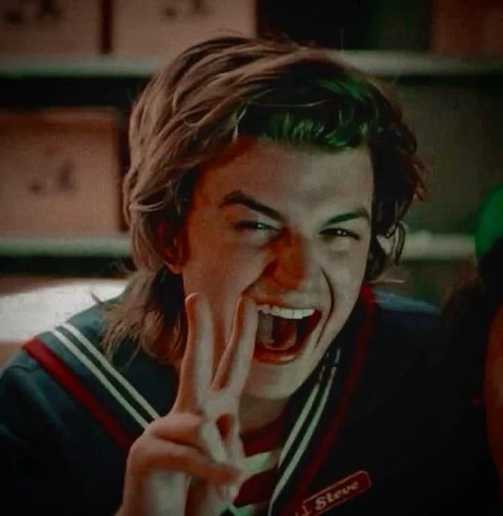 Steve Harrington thumbnail