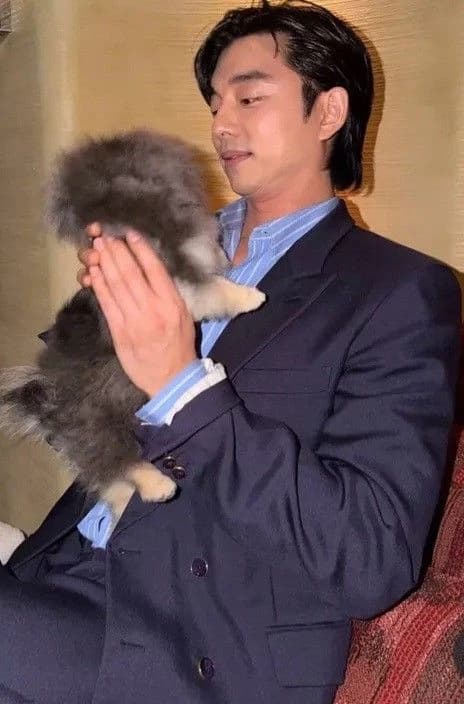 Gong yoo thumbnail