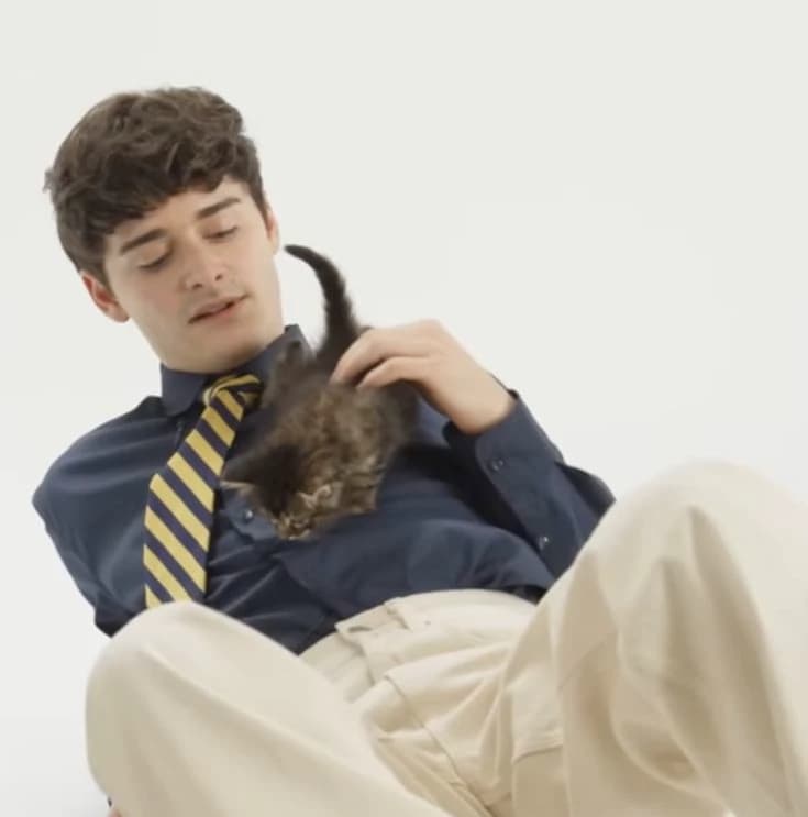 Noah Schnapp's parents want grandchildren thumbnail