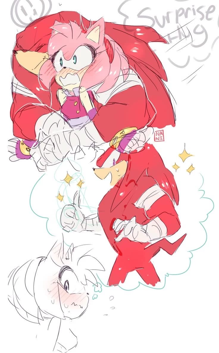 Knuckles e Amy booms thumbnail