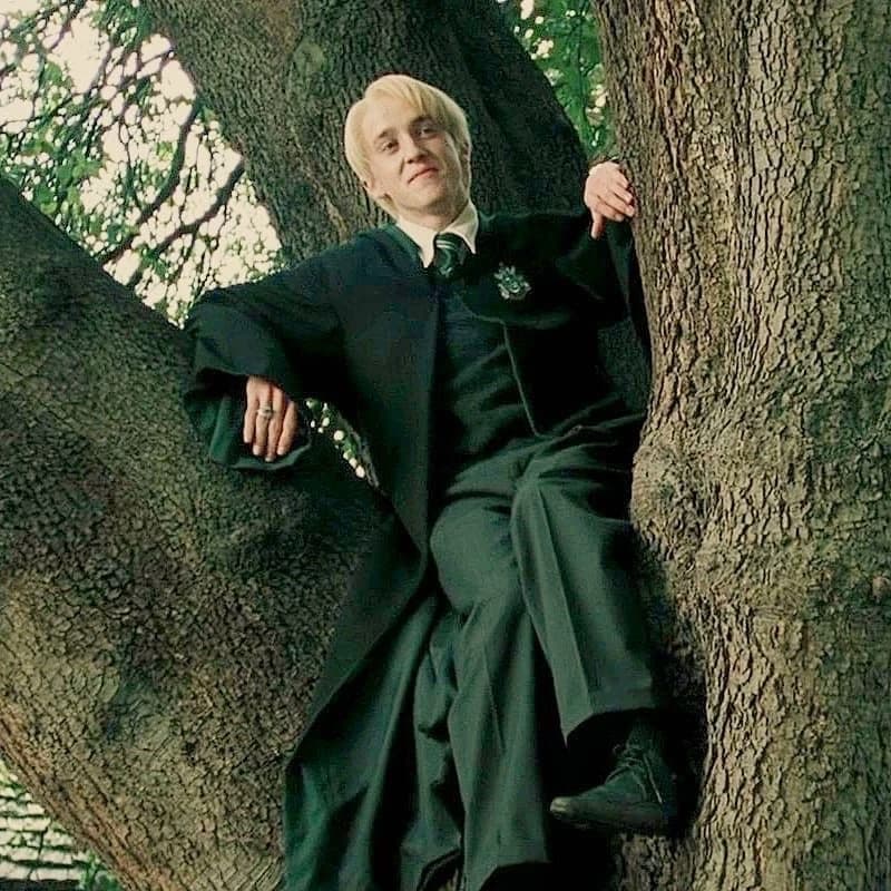 Draco Malfoy thumbnail