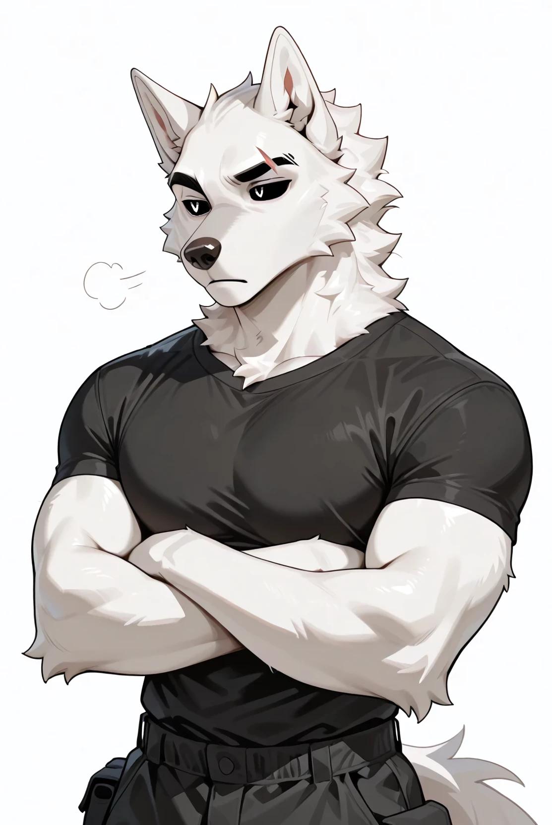 Boltex thumbnail