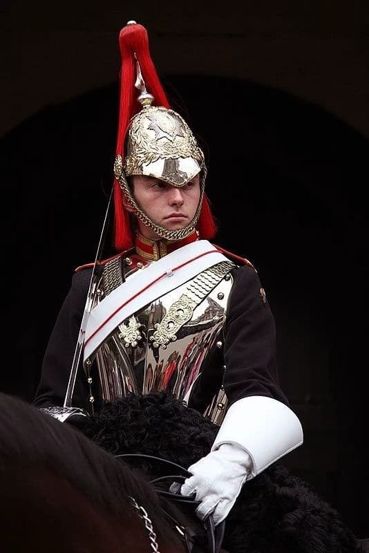 Royal Guard of England thumbnail