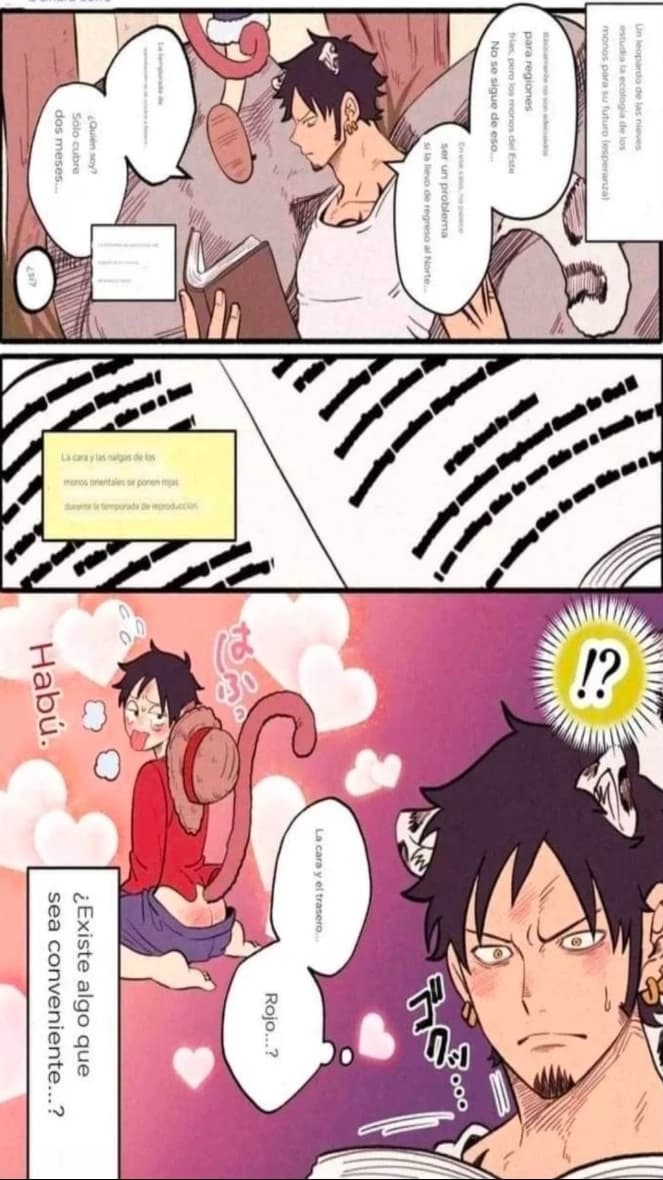 Law x Luffy /Lawlu | BL thumbnail