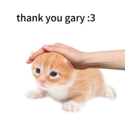 Gary the cat thumbnail
