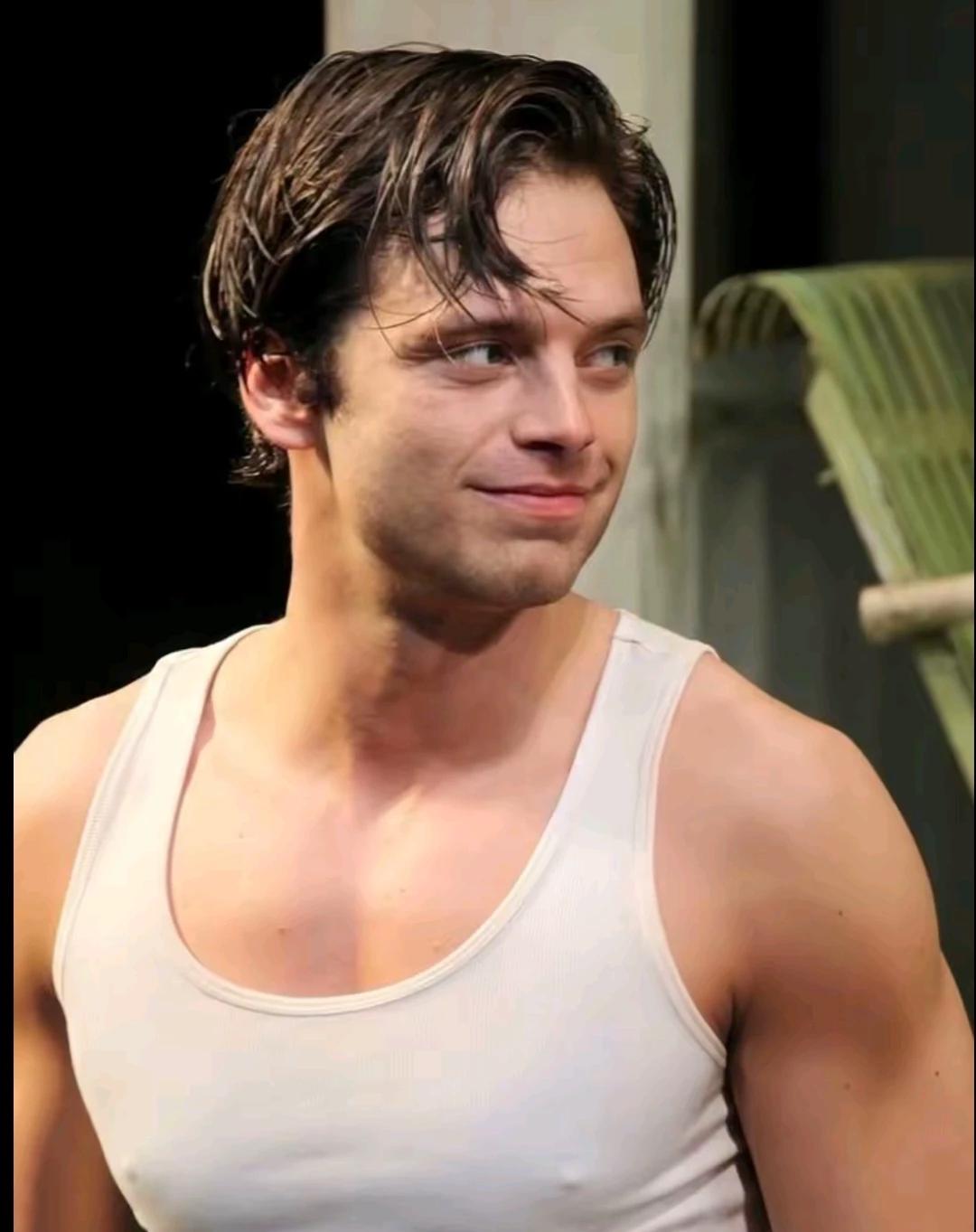 Sebastian stan thumbnail