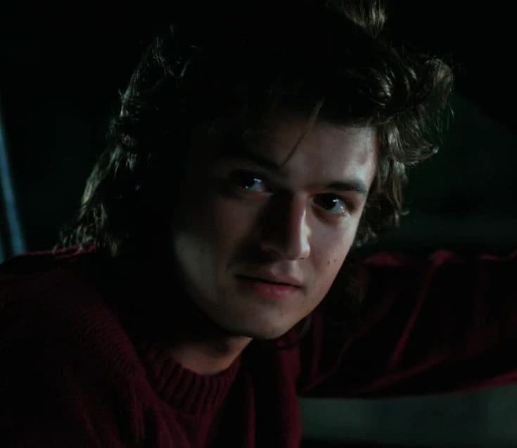 Steve Harrington thumbnail