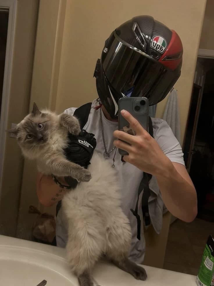 Bongo thumbnail