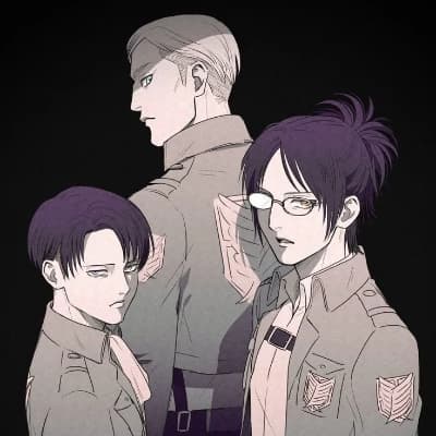 Hange, Levi and Erwin thumbnail