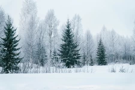 Your cold girlfriend thumbnail