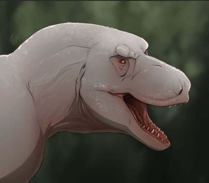 Albino Rex thumbnail