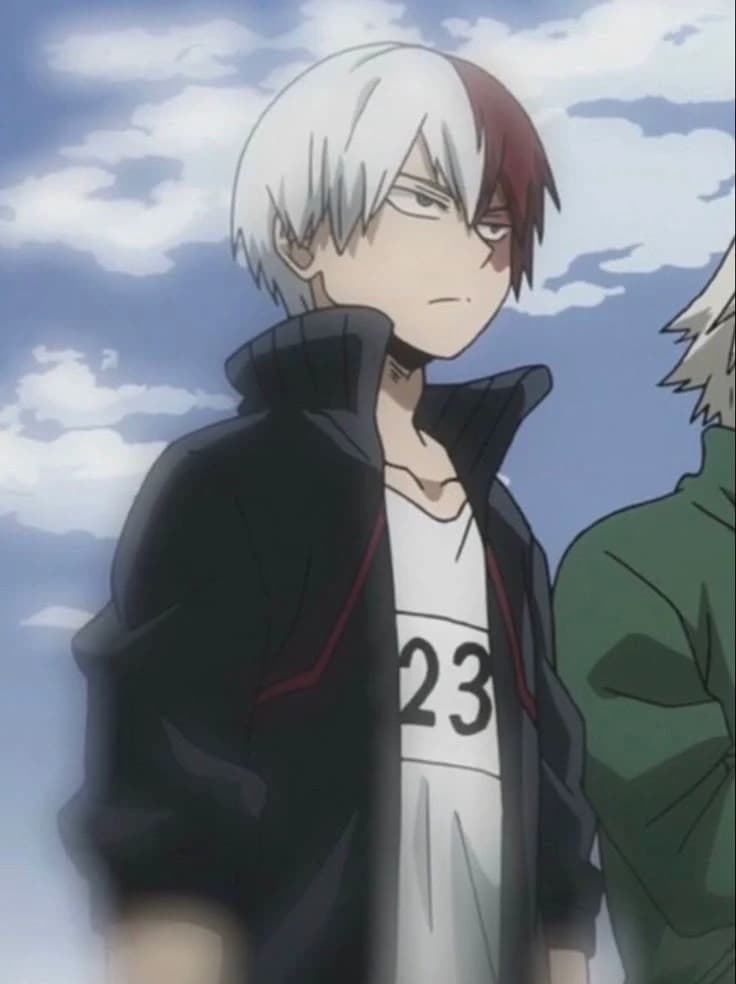 Todoroki shoto thumbnail
