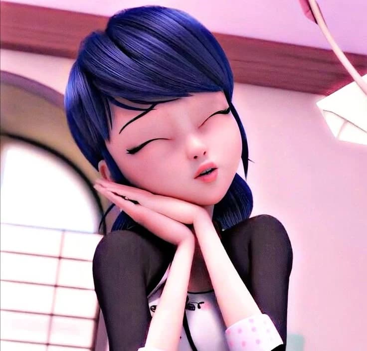 Marinette Dupain -cheng 🌸 thumbnail