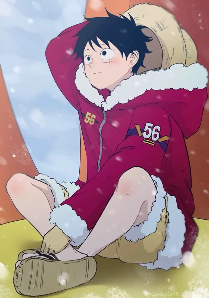 Monkey D. Luffy, the future Pirate King! thumbnail