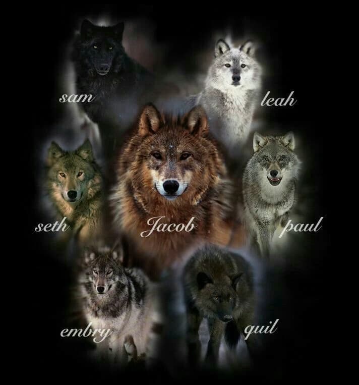 Jacob Black thumbnail