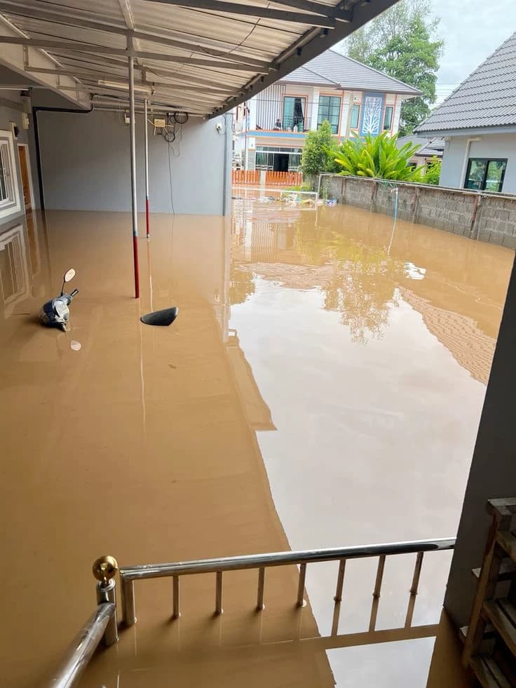 flood thumbnail