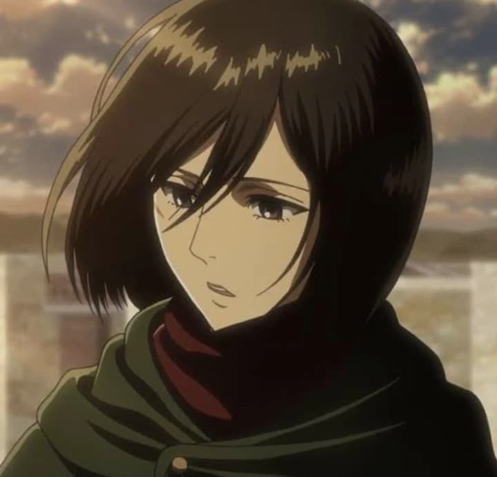 ✨Mikasa Ackerman ✨ thumbnail