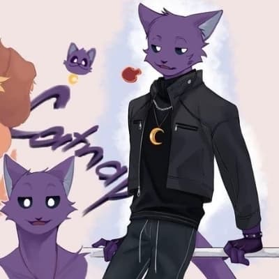 Pillow Paws thumbnail