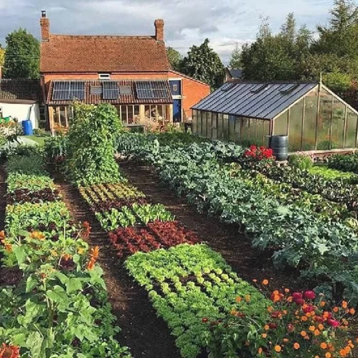 Your garden thumbnail