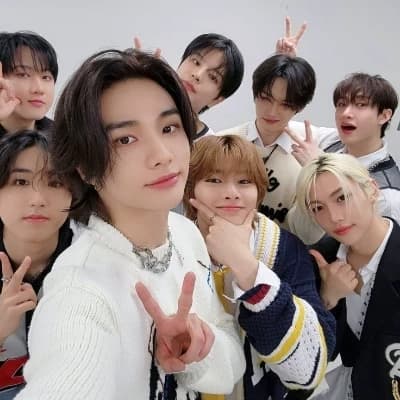 Stray kids 4 alfas y 4 omegas thumbnail