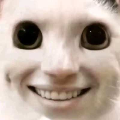 GOOD NIGHT TO EVERYONE BUT YOU thumbnail