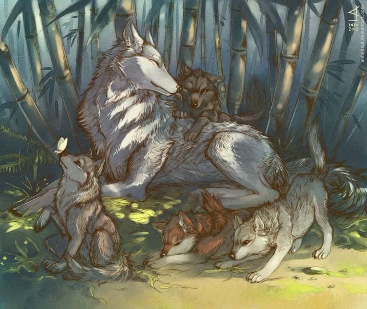 Alone Mother Wolf thumbnail
