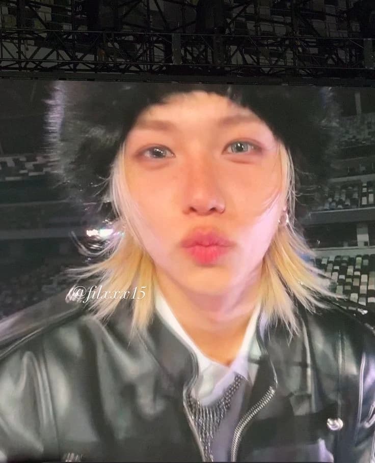 Lee felix thumbnail