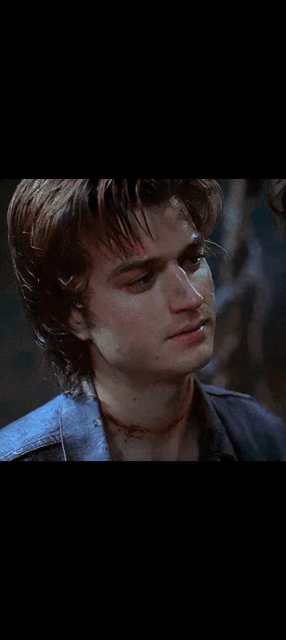 Steve  Harrington  thumbnail